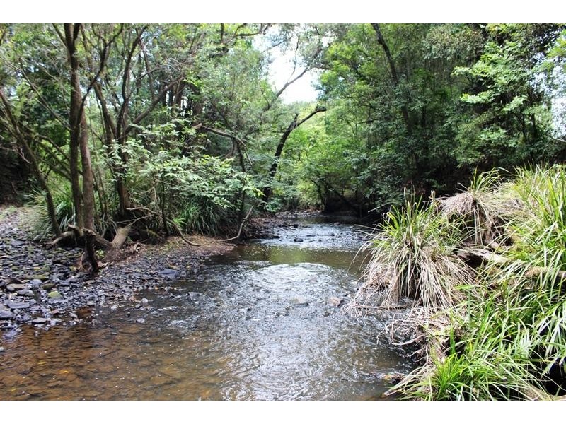 1241 Keerrong Road, Keerrong NSW 2480