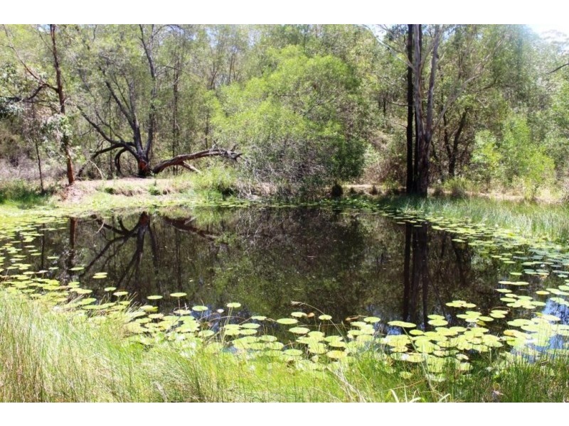 562 Moonem-New Italy Road, New Italy NSW 2472