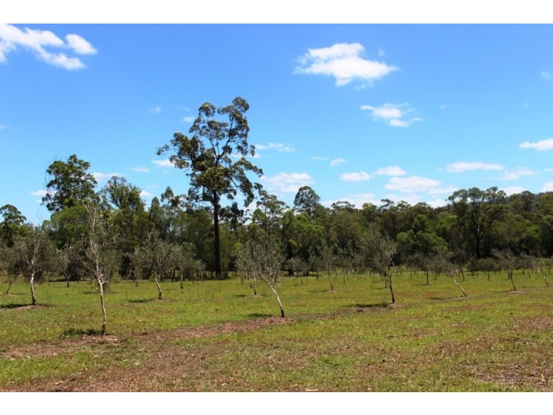 562 Moonem-New Italy Road, New Italy NSW 2472