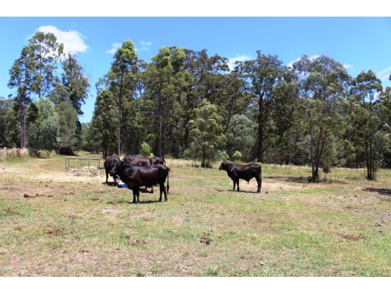 562 Moonem-New Italy Road, New Italy NSW 2472