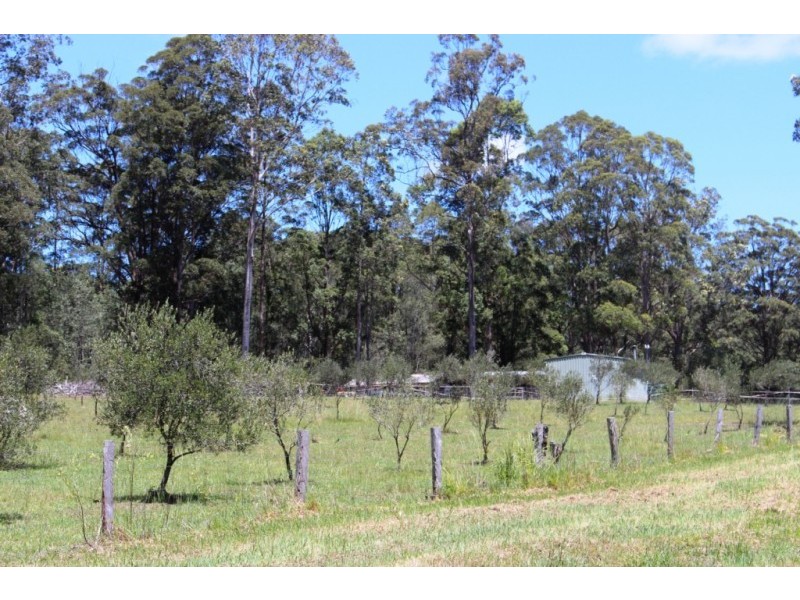 562 Moonem-New Italy Road, New Italy NSW 2472