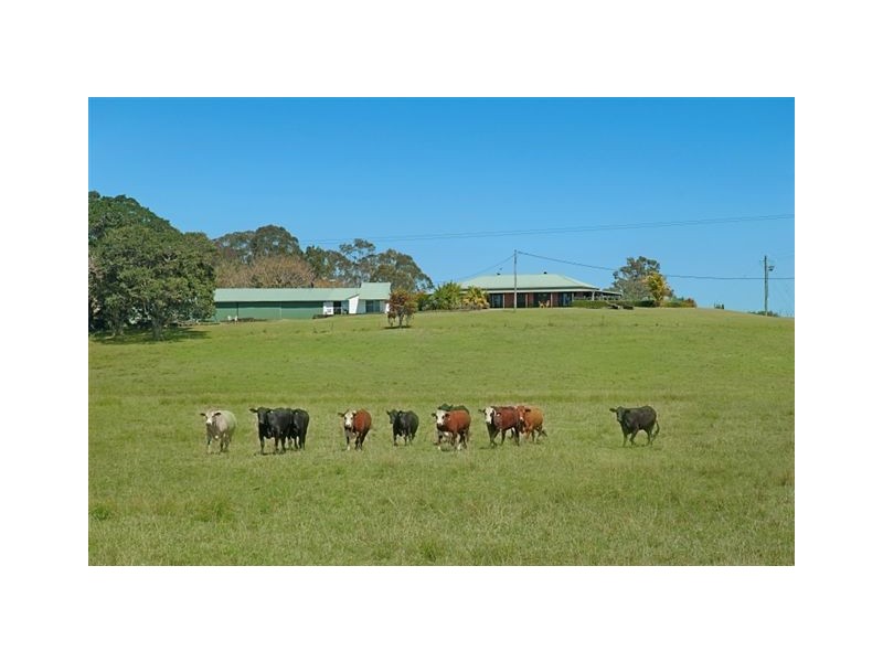 160 Busbys Flat Road, Leeville NSW 2470