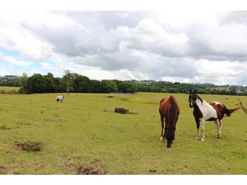 179 Bangalow Road Howards Grass, Lismore NSW 2480