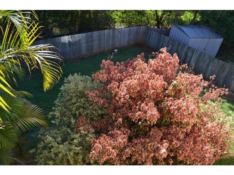 1 Casuarina Drive, Goonellabah NSW 2480