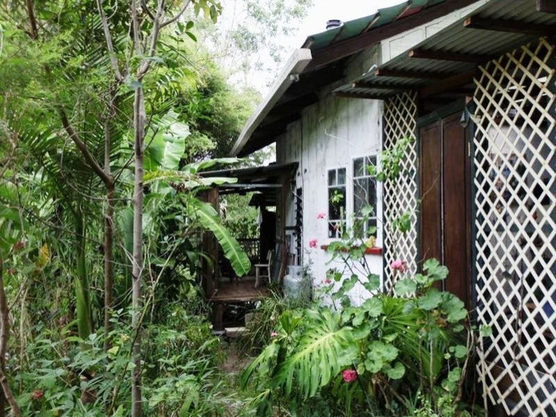 4505 Kyogle Road, Wadeville NSW 2474