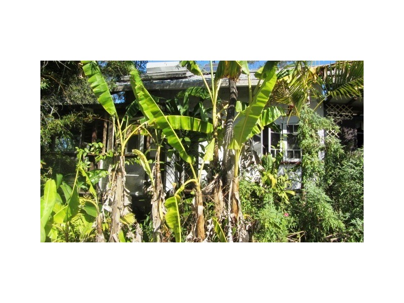 4505 Kyogle Road, Wadeville NSW 2474