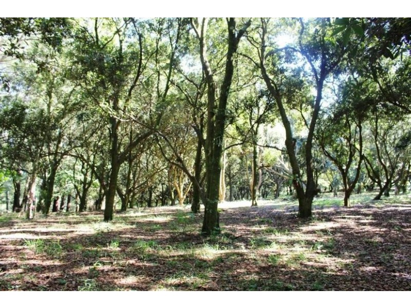 2179 Dunoon Road, Dorroughby NSW 2480