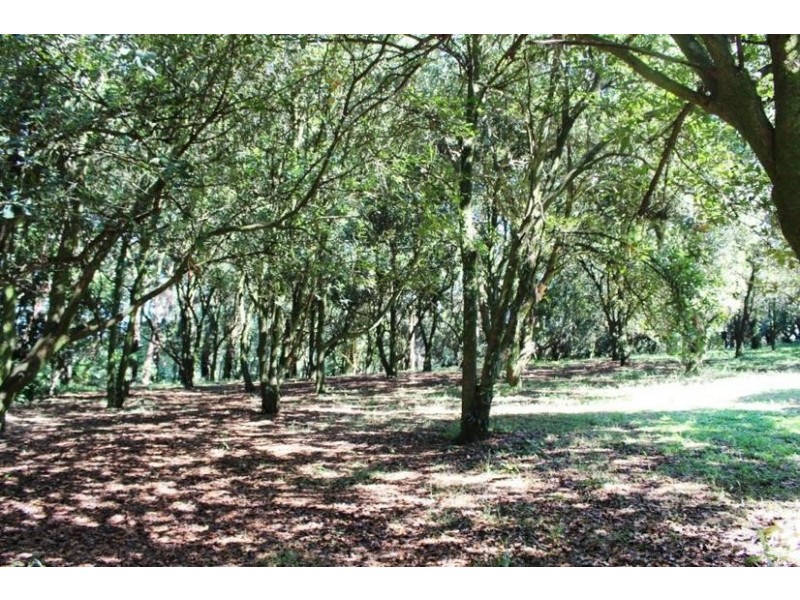 2179 Dunoon Road, Dorroughby NSW 2480