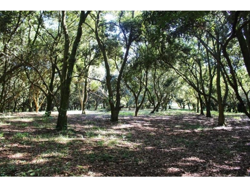 2179 Dunoon Road, Dorroughby NSW 2480