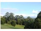 373 Lillian Rock Road, Lillian Rock NSW 2480