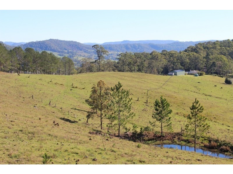 61 Hayden Road, Goolmangar NSW 2480