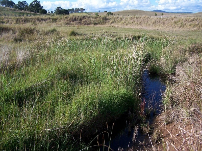 Lot 12 Pines Road, Kyogle NSW 2474