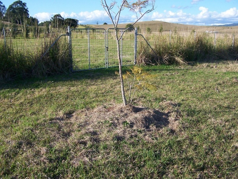 Lot 12 Pines Road, Kyogle NSW 2474