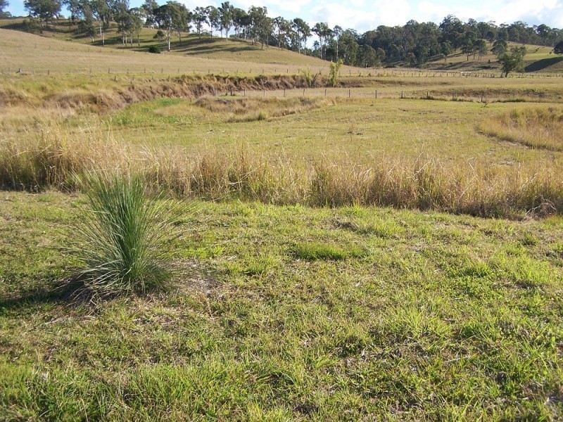 Lot 12 Pines Road, Kyogle NSW 2474