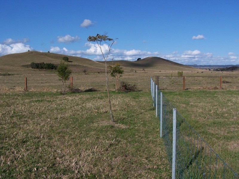Lot 12 Pines Road, Kyogle NSW 2474