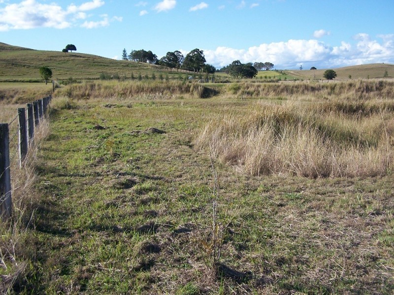 Lot 12 Pines Road, Kyogle NSW 2474