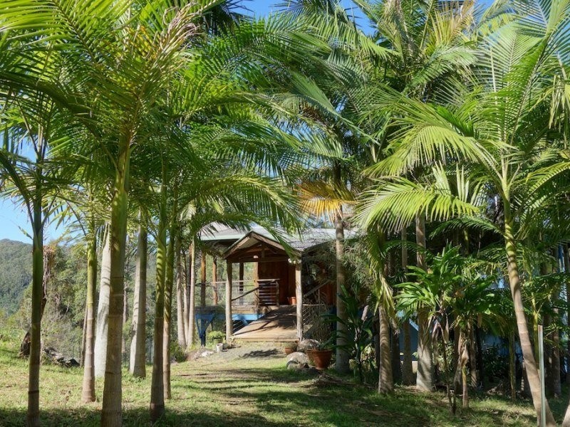 955 Terania Creek Road, Terania Creek NSW 2480