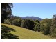 955 Terania Creek Road, Terania Creek NSW 2480