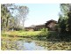50 Cullen Road, Nimbin NSW 2480