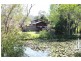 50 Cullen Road, Nimbin NSW 2480