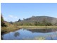 50 Cullen Road, Nimbin NSW 2480