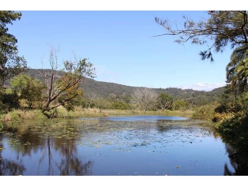 50 Cullen Road, Nimbin NSW 2480