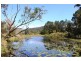 50 Cullen Road, Nimbin NSW 2480
