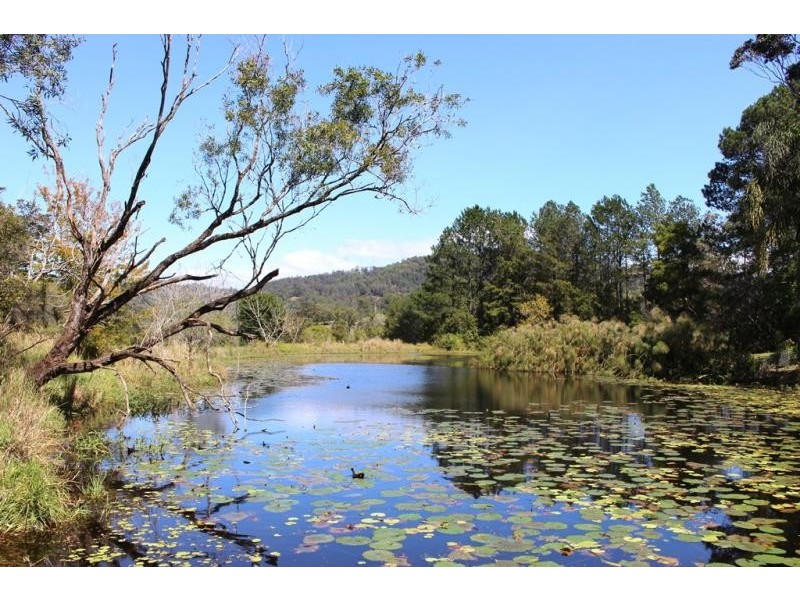 50 Cullen Road, Nimbin NSW 2480