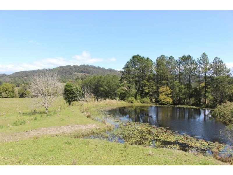 50 Cullen Road, Nimbin NSW 2480
