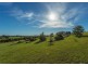 3328 Bentley Road, Cedar Point NSW 2474