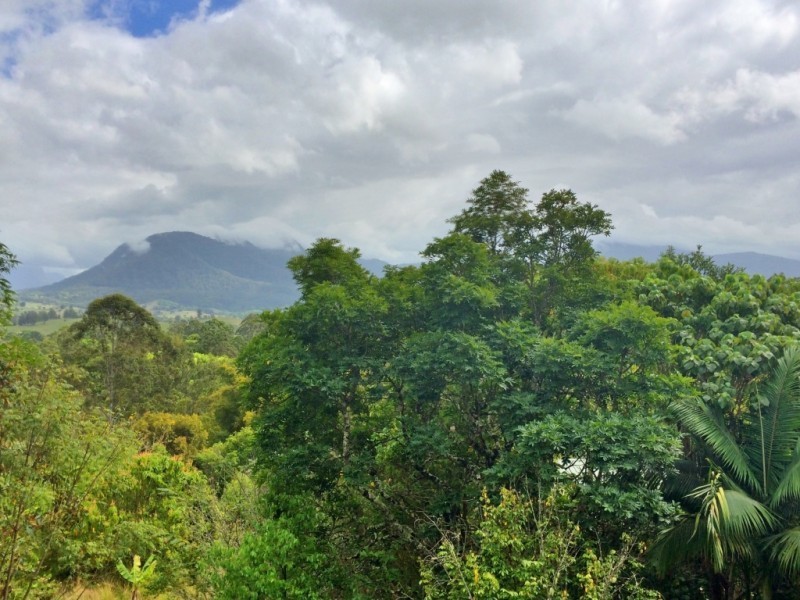 18/78 Cecil Street, Nimbin NSW 2480