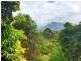 18/78 Cecil Street, Nimbin NSW 2480