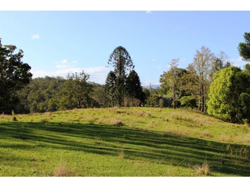 193 Faraway Road, Cawongla NSW 2474