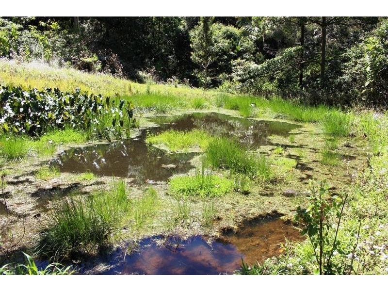 402 Bishops Creek Road, Coffee Camp NSW 2480