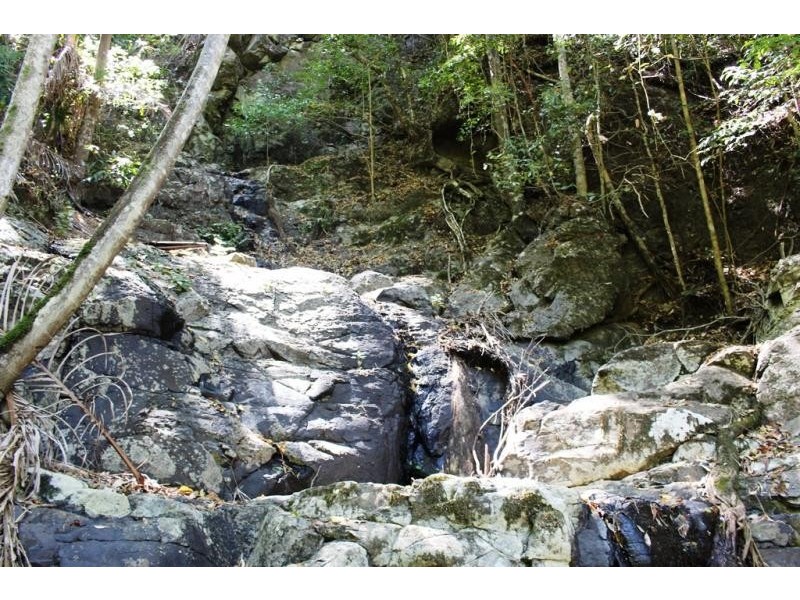 402 Bishops Creek Road, Coffee Camp NSW 2480