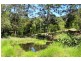 402 Bishops Creek Road, Coffee Camp NSW 2480