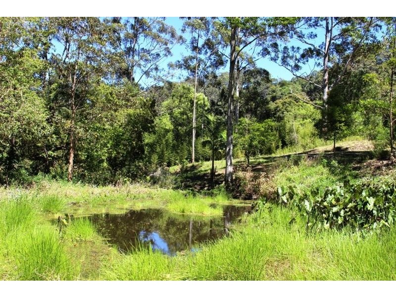 402 Bishops Creek Road, Coffee Camp NSW 2480