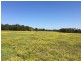 Lot 1, 50 Haughwood Road, Bora Ridge NSW 2471