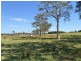 Lot 1, 50 Haughwood Road, Bora Ridge NSW 2471