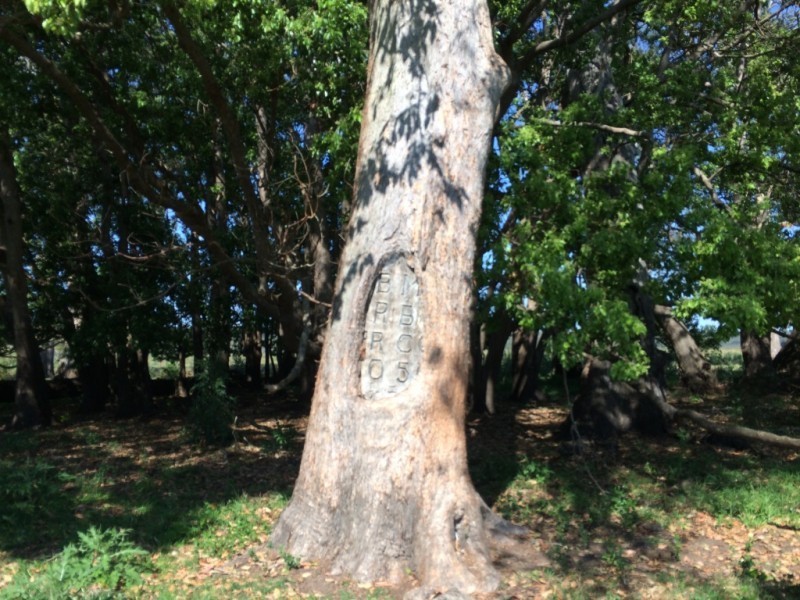 Lot 1, 50 Haughwood Road, Bora Ridge NSW 2471