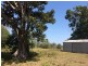 Lot 1, 50 Haughwood Road, Bora Ridge NSW 2471