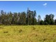 Lot 2, 50 Haughwood Road, Bora Ridge NSW 2471