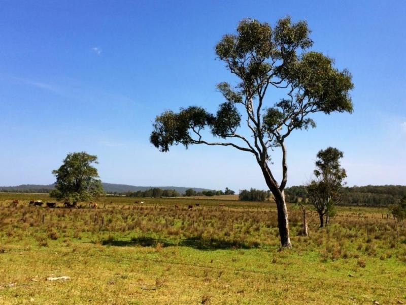 Lot 2, 50 Haughwood Road, Bora Ridge NSW 2471