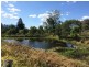 61 Stanger Road, Nimbin NSW 2480