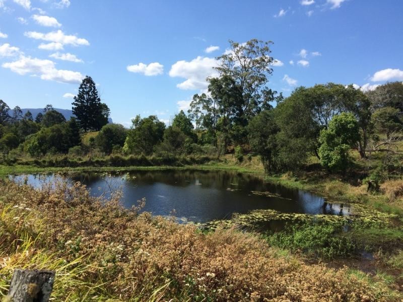 61 Stanger Road, Nimbin NSW 2480