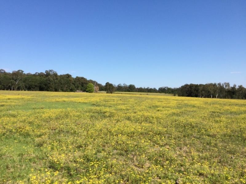 Lot 4, 50 Haughwood Road, Bora Ridge NSW 2471