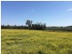Lot 4, 50 Haughwood Road, Bora Ridge NSW 2471