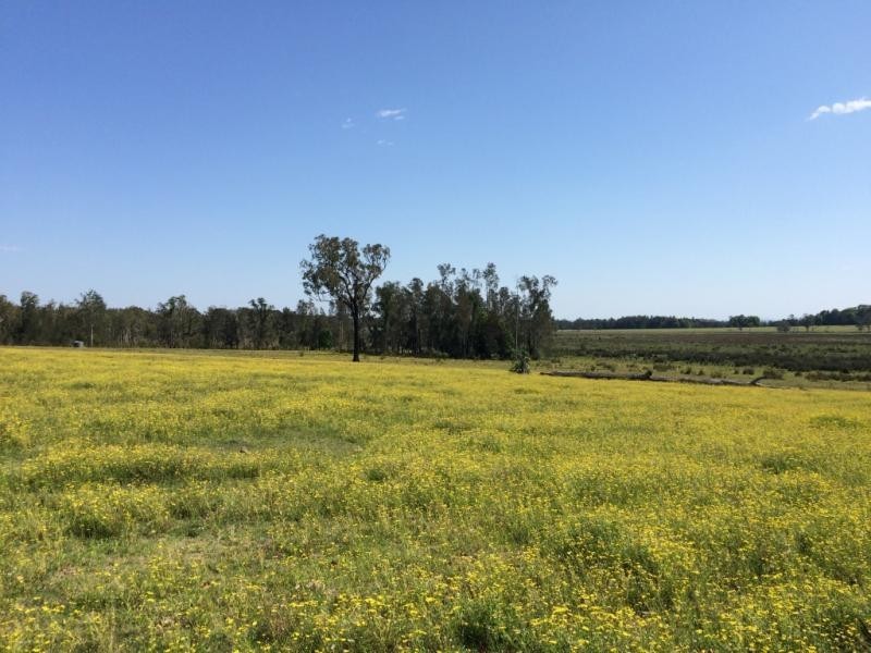 Lot 4, 50 Haughwood Road, Bora Ridge NSW 2471