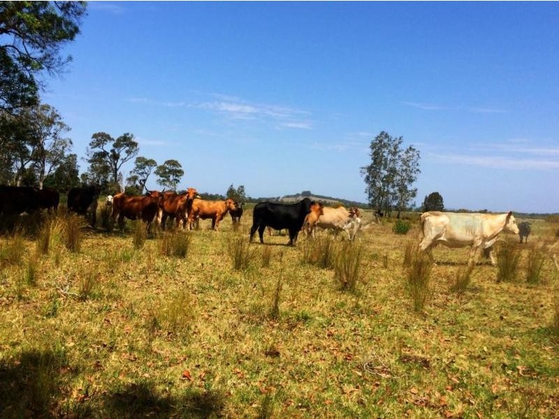 Lot 4, 50 Haughwood Road, Bora Ridge NSW 2471