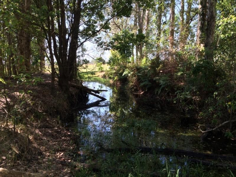 Lot 4, 50 Haughwood Road, Bora Ridge NSW 2471